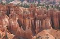 C011 N.P. Bryce canyon